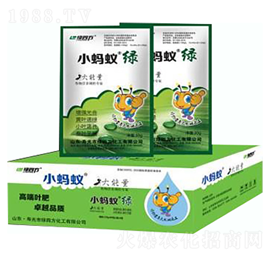 小螞蟻綠-綠四方