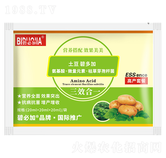 土豆碧多加-鑫禾生物