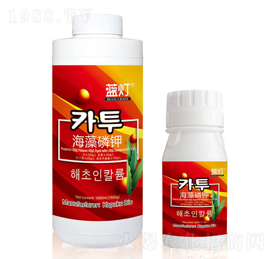 �{(l��n)���������-���Վ�(k��)����