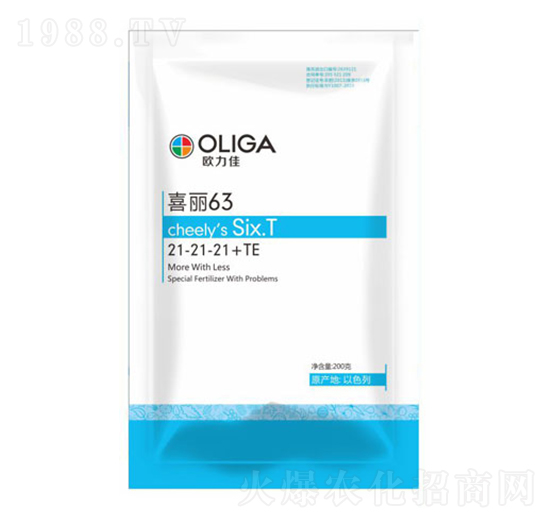 �������21-21-21+TE-ϲ��63-�W����