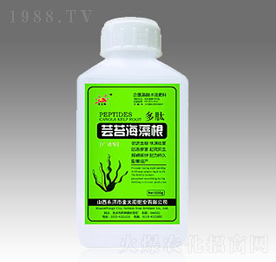 �|̦�����-�������