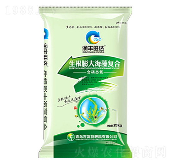 ����������(f��)�Ϸ�-��(r��n)�S���_(d��)-������