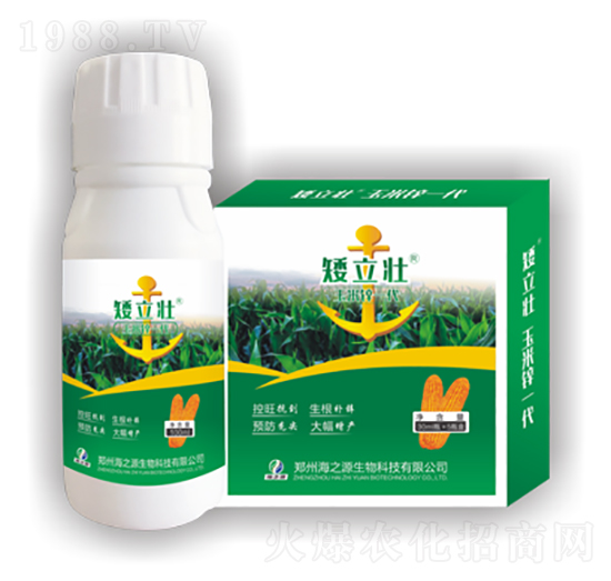 �����\һ��-������-ͨ�û���