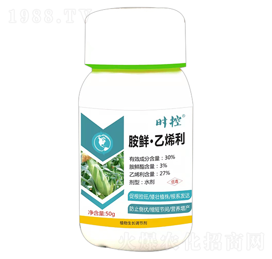 ���r����ϩ��-�r��-��ɭ��