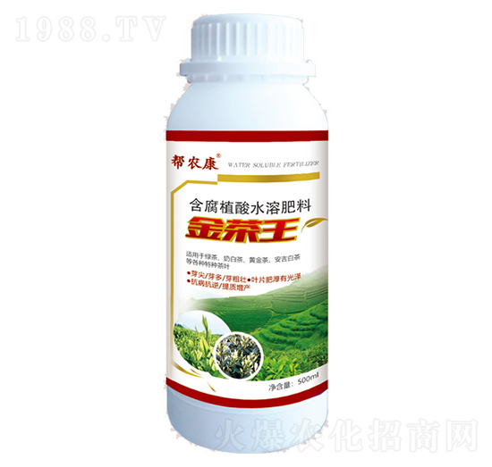 �����-���r��-���r