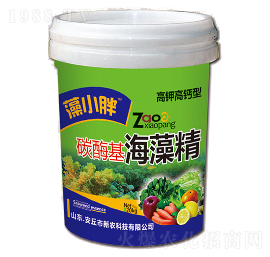 ̼ø�����徫-��С��-���r(n��ng)