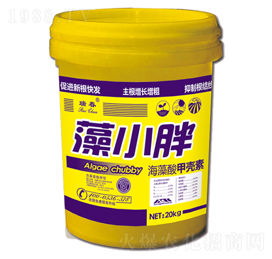 ������ך���-��С��-���r