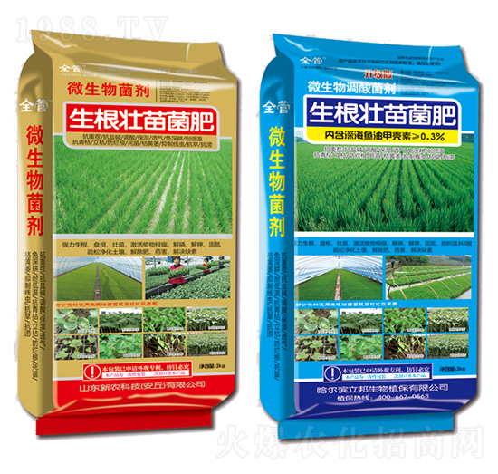 ΢�������-�����������-���r(n��ng)