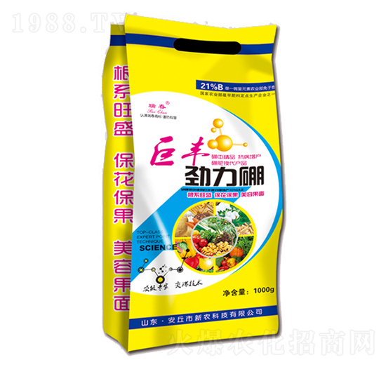 ���S������-��-���r(n��ng)