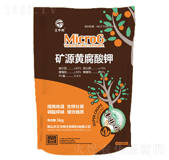 �VԴ�S�����-���A��