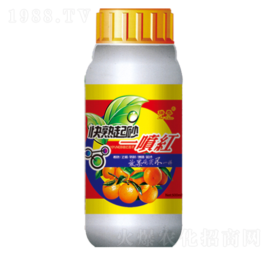 ���ӌ��ÿ�����ɰһ���t-��-���r