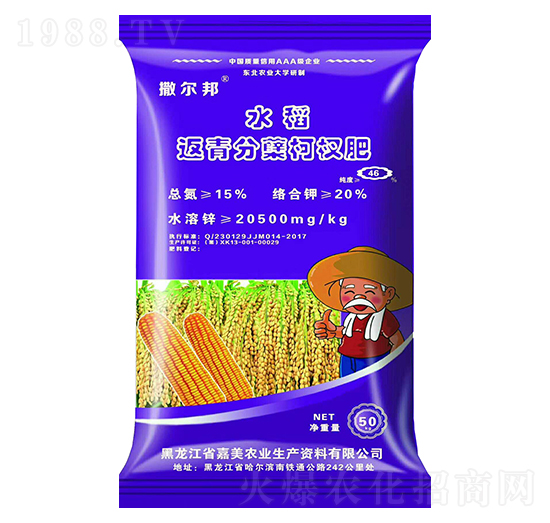 水稻返青分葉柯杈肥-撒爾邦-嘉美