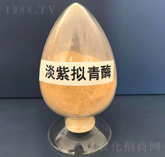 ���ϔM��ø���ۄ���-��������