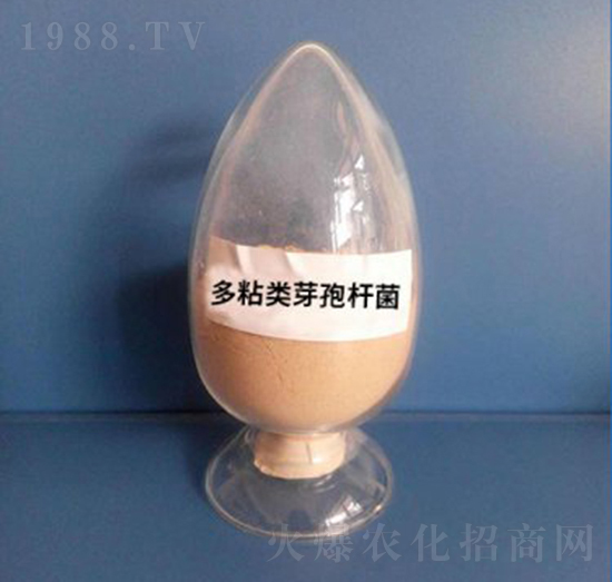 ��ճ�ѿ�ߗU�����ۄ���-��������