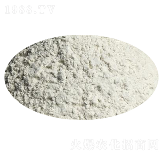 �����ᣨ��������-��S����