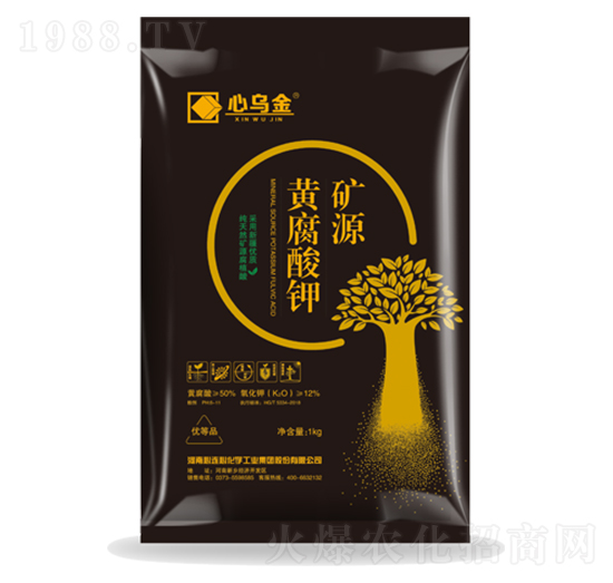 �VԴ�S�����-�Ğ���-���B��