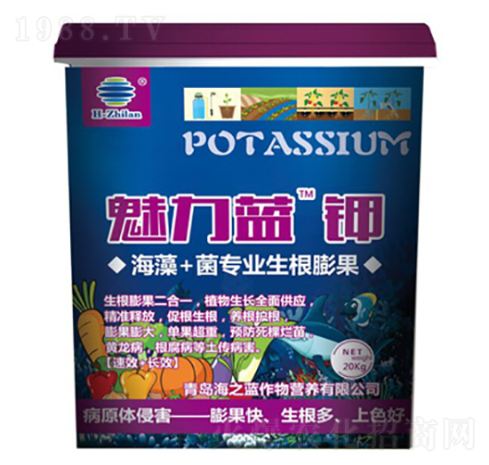 �����{(l��n)�-��֮�{(l��n)