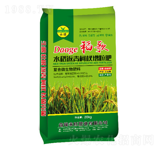 水稻返青柯杈增粒肥-稻歌-永旺肥業(yè)