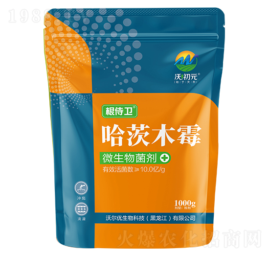 ����ľù-�����l(w��i)-�ֳ�Ԫ-�֠���(y��u)