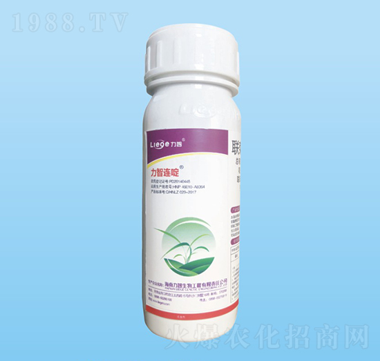 �����Bच��x��-��������