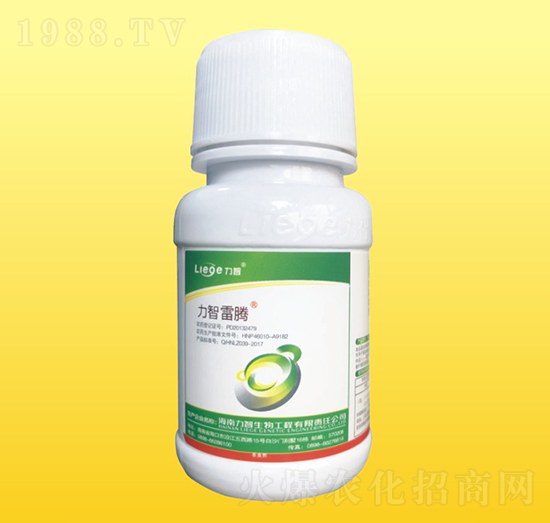 �������v���x��-��������