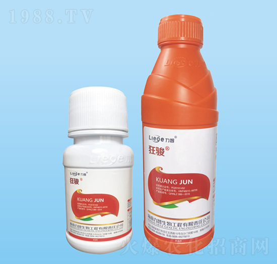 ���E���x��-��������