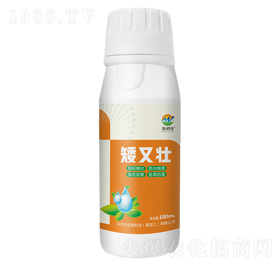 ���։�-�ֳ�Ԫ-�֠���(y��u)