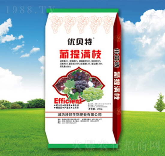 葡提滿枝沖施肥-神邦生物