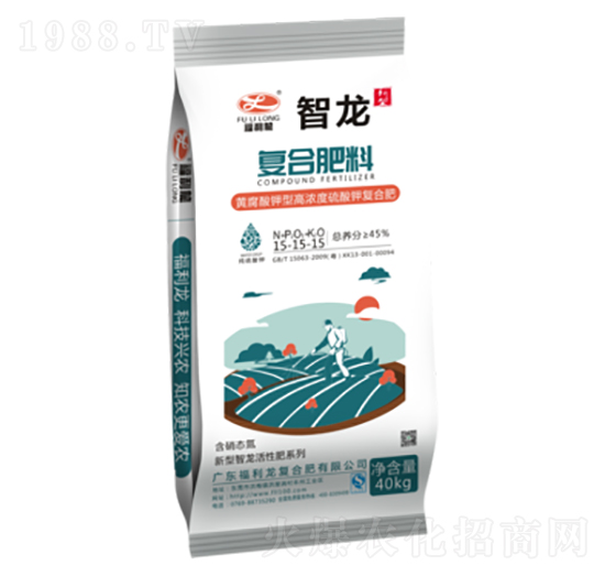 �ͺϷ���15-15-15-����-������