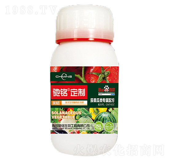 �ѹ�����÷�-�Y�����