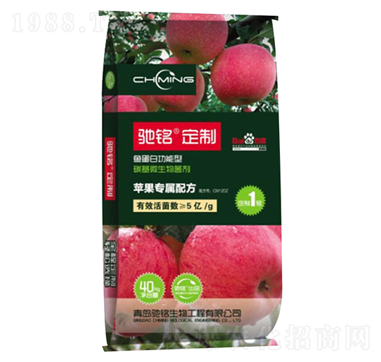 �O������΢�������-�Y�����