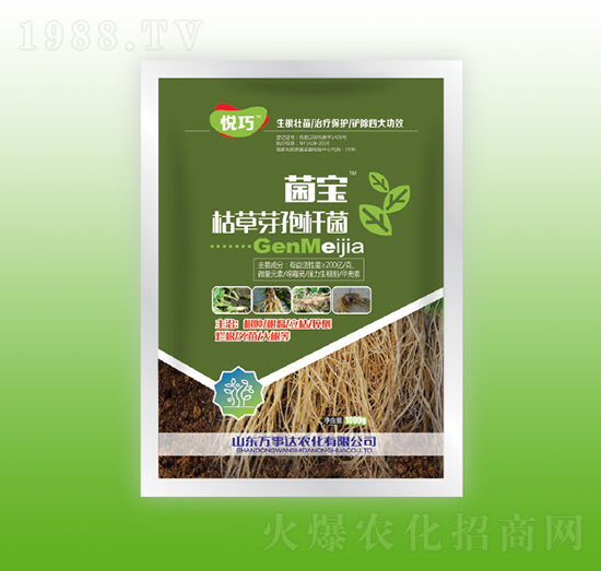 菌寶枯草芽孢桿菌-悅巧-萬事達