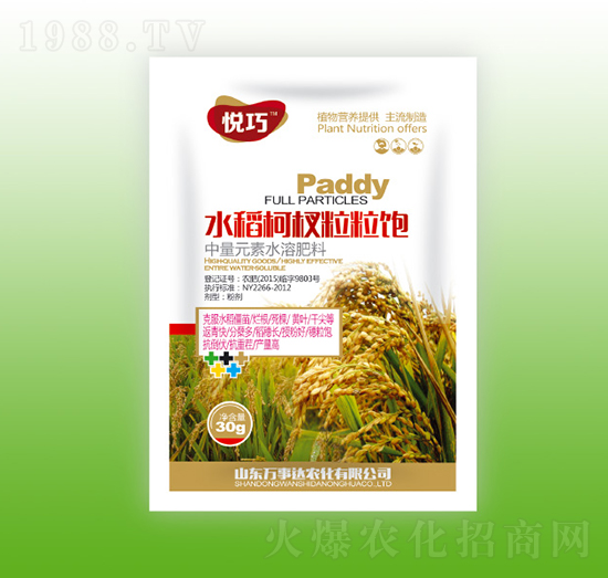 水稻柯杈粒粒飽-悅巧-萬事達(dá)