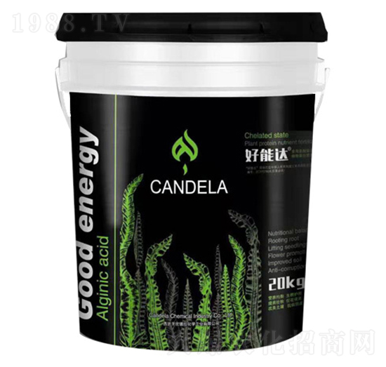 ���ך������ϑB(t��i)ֲ�ﵰ�נI(y��ng)�B(y��ng)��-�����_(d��)-�f���_(d��)