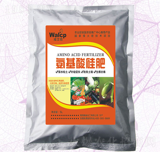 ���������-��ʿ��-����