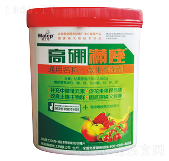 高硼滿(mǎn)座-傲威