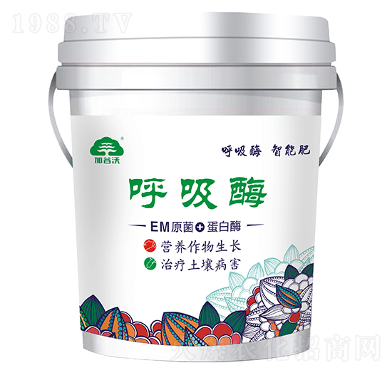 EM原菌+蛋白酶-呼吸酶-加谷沃