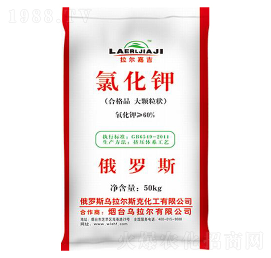 �Ȼ��-������