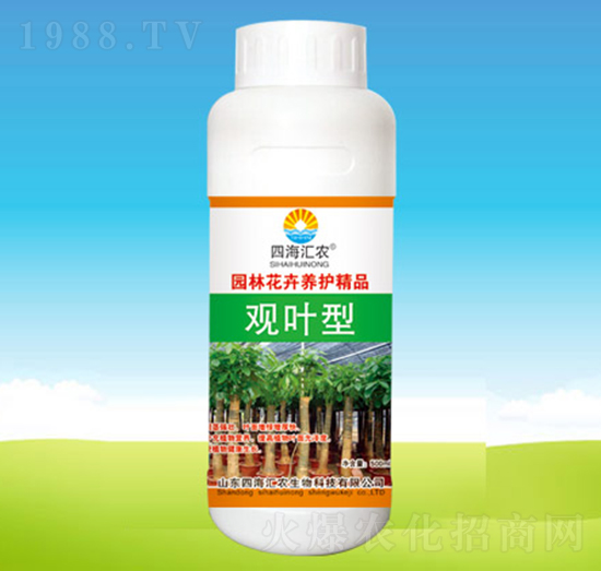 觀葉型-四海匯農