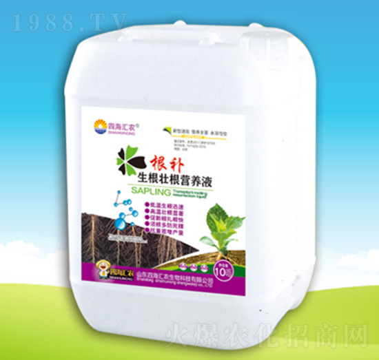 生根壯根營養(yǎng)液-根補-四海匯農(nóng)