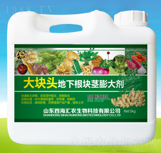 大塊頭地下根塊莖膨大劑-四海匯農(nóng)