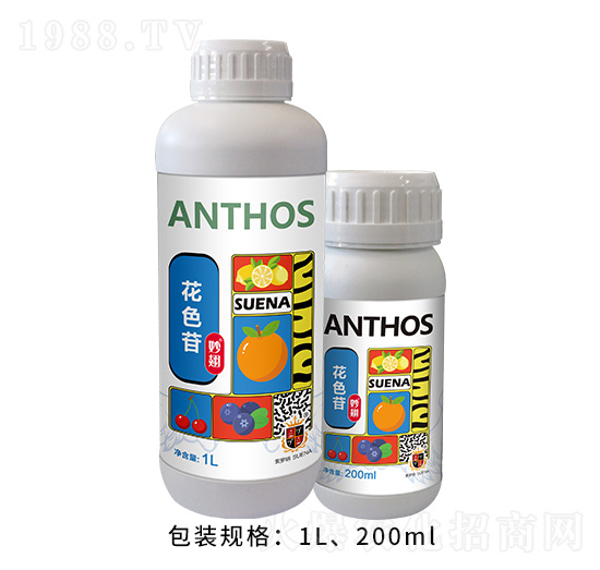 ��ɫ��-���