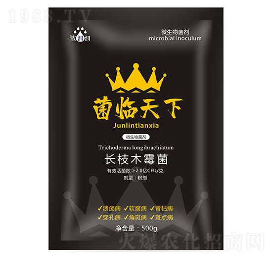 ���R���£�΢���������-��p�p-�������