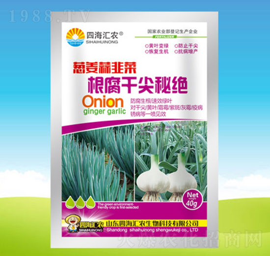 蔥姜蒜韭菜根腐干尖秘絕-四海匯農(nóng)