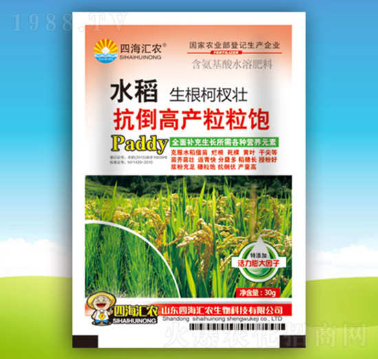 水稻抗倒高產(chǎn)粒粒飽-四海匯農(nóng)