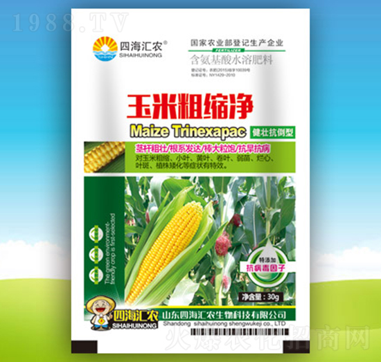 玉米粗縮凈-四海匯農(nóng)