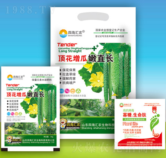 頂花增瓜嫩直長-四海匯農(nóng)