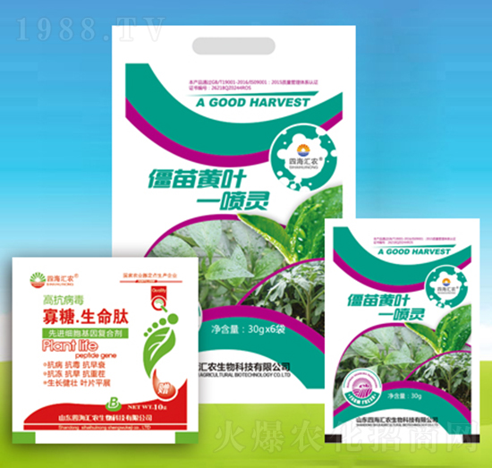 僵苗黃葉一噴靈-四海匯農(nóng)