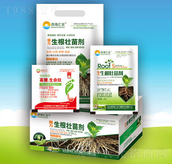 強(qiáng)力生根壯苗劑-四海匯農(nóng)