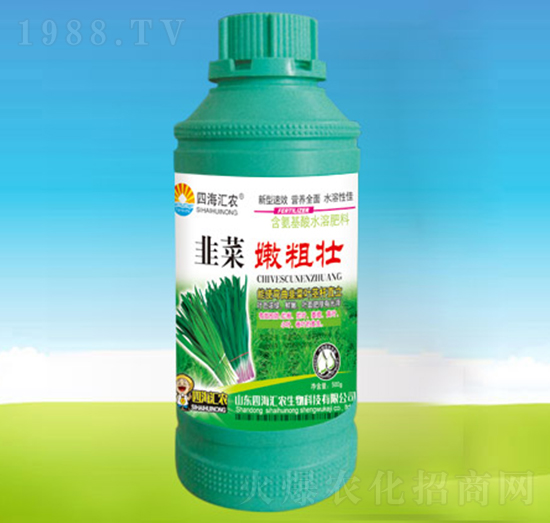 韭菜嫩粗壯-四海匯農(nóng)